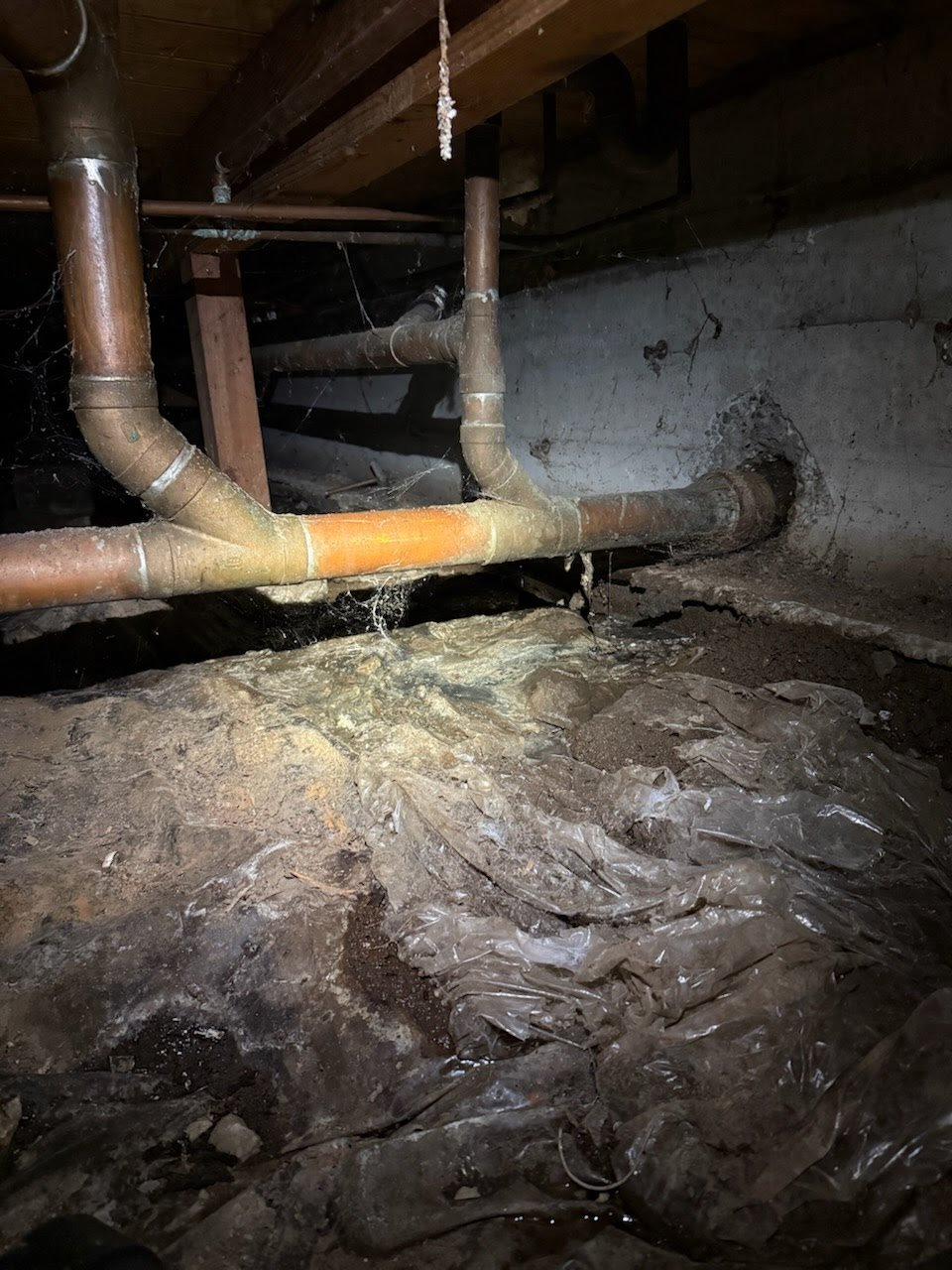 water line maintenance and repair service job with Elite Plumbing and Sewer in Snohomish County